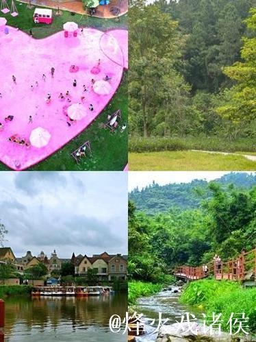 青青草乐园：打造属于你的绿色梦想天地